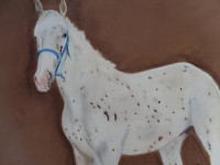 /album/chevaux/photo-058-jpg/